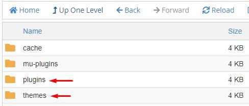 delete themes plugins directories