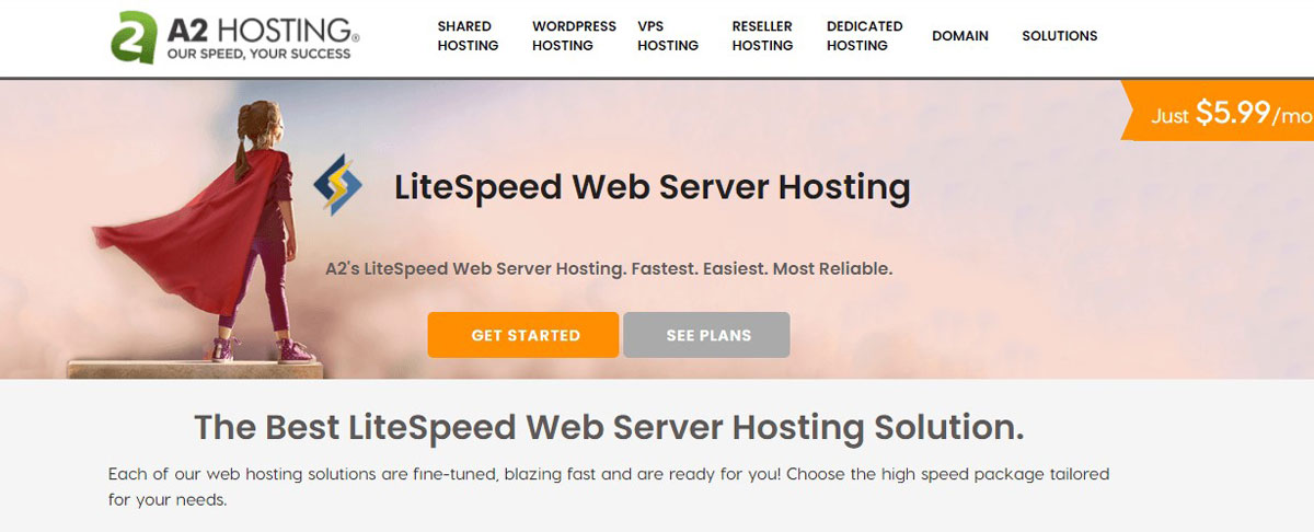 A2Hosting litespeed web server