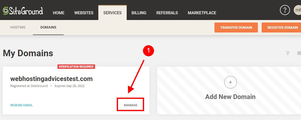 manage domain name under siteground services tab