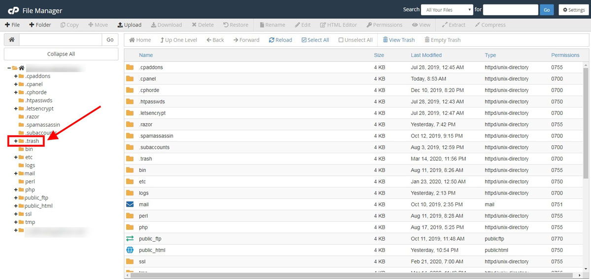 Clean trash folder from cpanel file manager